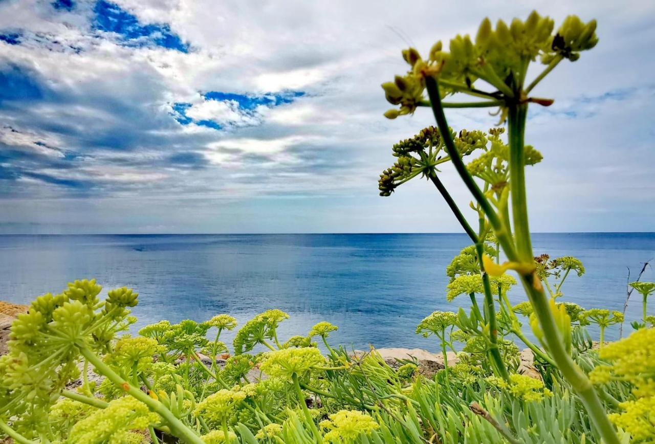 Casa Fronte Mare Villa Marina di Mancaversa Dış mekan fotoğraf